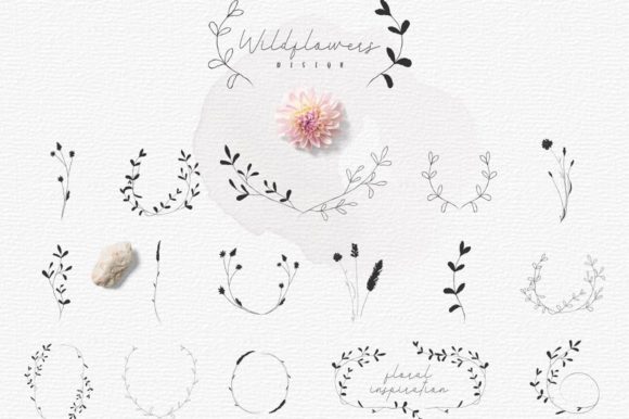Download Hand-drawn Botanic Elements. Herb, Plant - Premium Resources